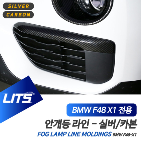 BMW 악세사리 안개등 라인 몰딩 실버 카본 X1